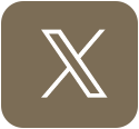 x logo